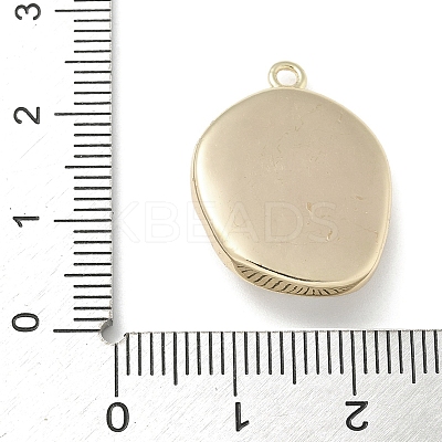 Brass Micro Pave Clear Cubic Zirconia Pendants KK-M308-07G-01-1