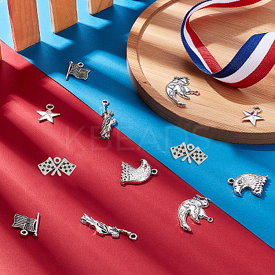 60Pcs 6 Style Independence Day Theme Tibetan Style Zinc Alloy Pendants TIBEP-SC0002-05-1