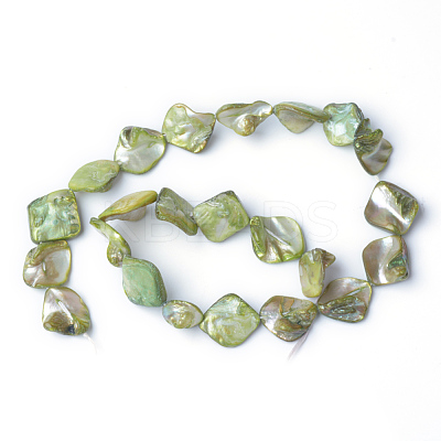 Natural Sea Shell Beads X-S00EA041-1