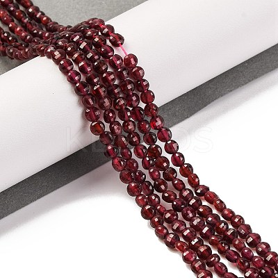 Natural Garnet Beads Strands G-F770-B02-01-1