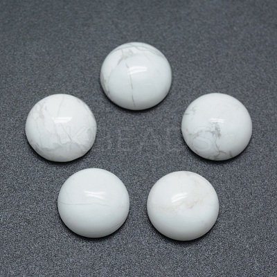 Natural Howlite Cabochons G-P393-R32-10mm-1