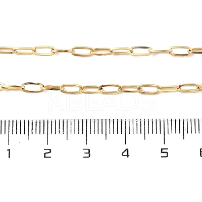Ion Plating(IP) 304 Stainless Steel Paperclip Chain Necklace for Women NJEW-G097-14G-1