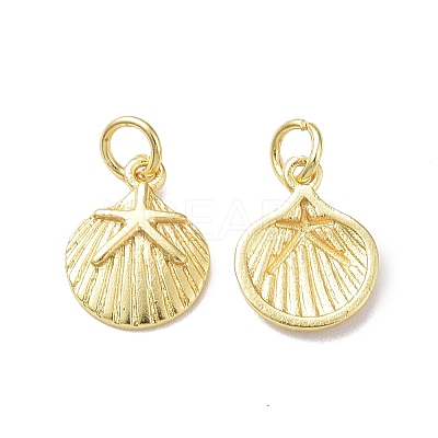 Rack Plating Brass Charms KK-F849-01G-1
