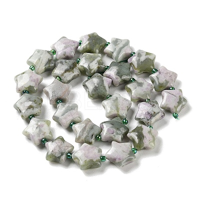 Natural Peace Jade Beads Strands G-NH0005-001-1