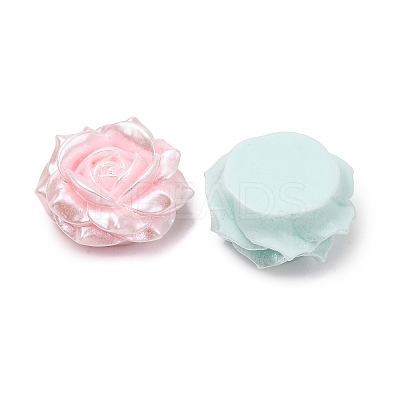 Opaque Resin Beads RESI-D026-02-1