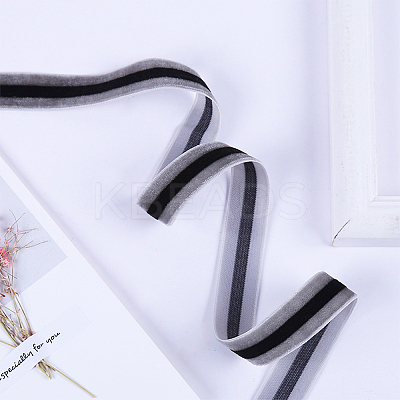 Polyester Ribbon SRIB-F008-A02-19mm-1