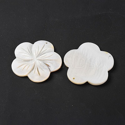 Natural Freshwater Shell Carved Pendants BSHE-S304-14-1