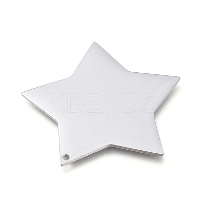 Tarnish Resistant 304 Stainless Steel Pendants STAS-L238-108A-P-1