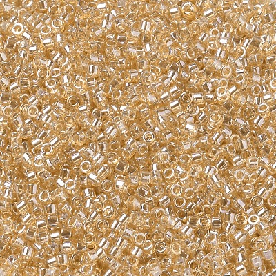 MIYUKI Delica Beads X-SEED-J020-DB0099-1