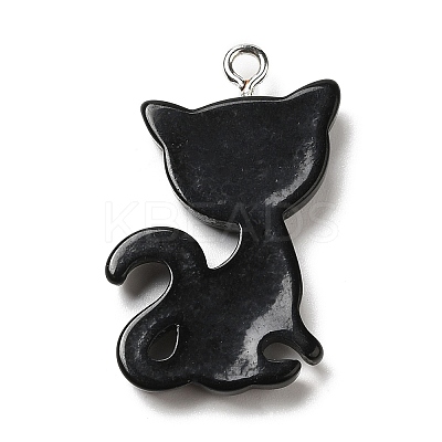 Opaque Resin Pendants RESI-G069-03A-1