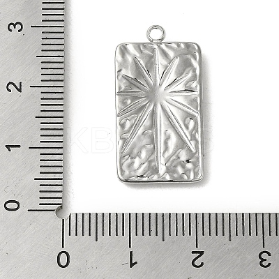 Non-Tarnish 304 Stainless Steel Pendants LS-STAS-E216-216P-1