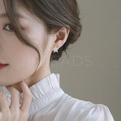 10 Pair 10 Color Transparent Resin & Wood Stud Earring Findings DIY-FW0001-09-1