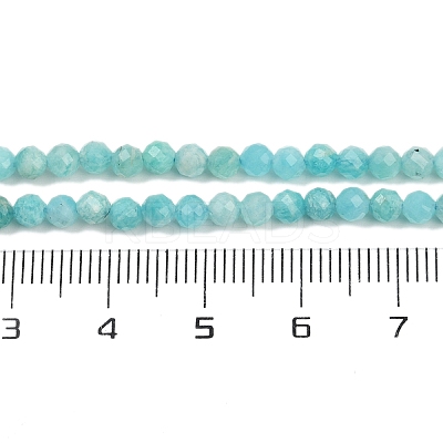 Natural Amazonite Beads Strands LS-G-P572-B04-A-1