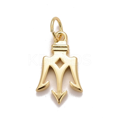 Rack Plating Eco-friendly Brass Charms KK-D076-01G-1
