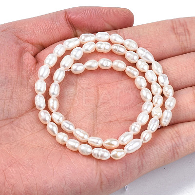 Natural Cultured Freshwater Pearl Beads Strands PEAR-N012-04B-1