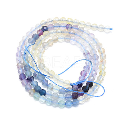 Natural Fluorite Beads Strands G-P457-A02-19-1