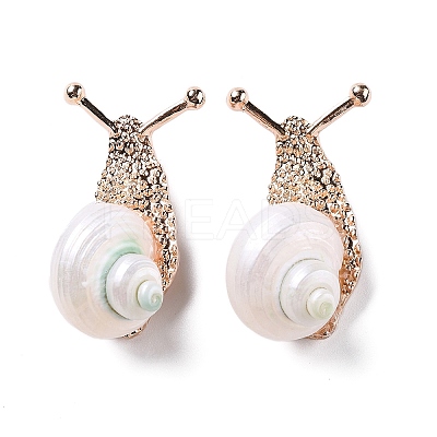 Snail White Natural Conch Shell Fossil Brooch Pin JEWB-A020-02G-01-1