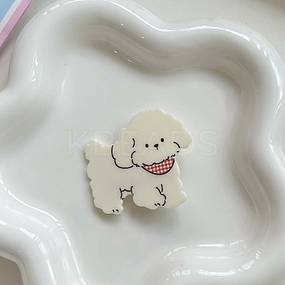 Cute Acrylic Alligator Hair Clips PW-WG54A16-03-1