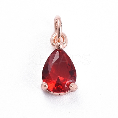 Brass Micro Pave Cubic Zirconia Pendants ZIRC-E164-64RG-1