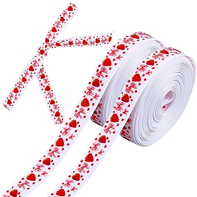 Polyester Ribbon OCOR-WH20061-002-1