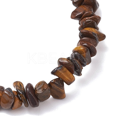 Natural Tiger Eye Chip Beaded Stretch Bracelets for Women Men BJEW-JB10647-01-1