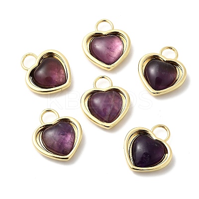 Natural Amethyst Pendants KK-Z137-03G-1