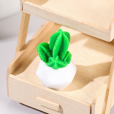 Resin Cactus Pot Model PW-WG83534-03-1