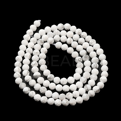 Natural Howlite Beads Strands X-G-E608-A01-B-1