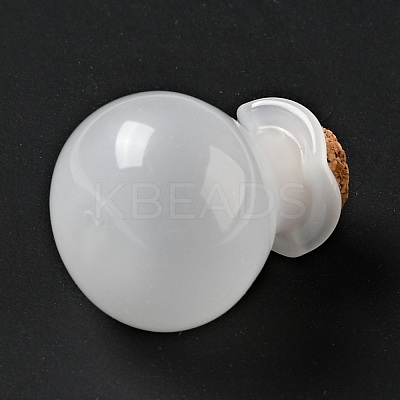 Lucky Bag Shape Glass Cork Bottles Ornament AJEW-A039-02E-1
