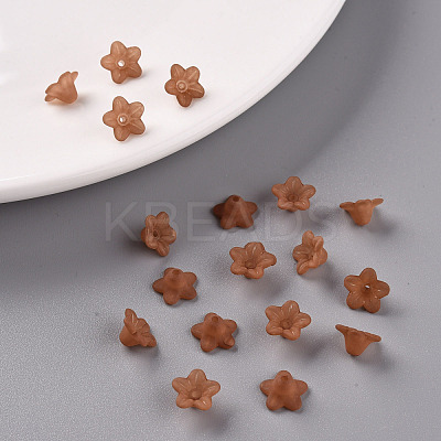 Transparent Acrylic Beads X-PL554-15-1