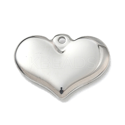 304 Stainless Steel Pendants STAS-G361-06P-1