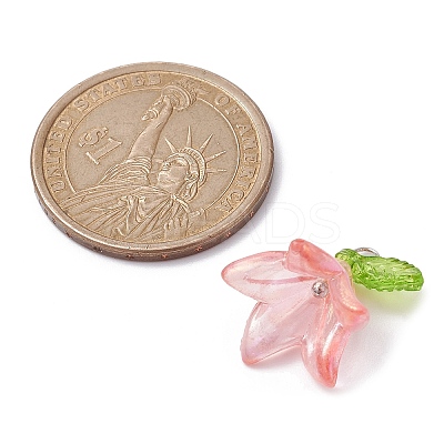 6Pcs Transparent Acrylic Pendants PALLOY-JF02300-02-1