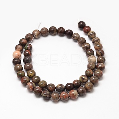 Natural Rainforest Agate Round Bead Strands G-P075-45-6mm-1