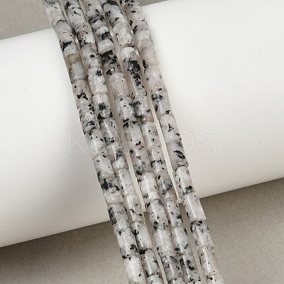 Natural Seame Jasper Beads Strands G-P600-B11-01-1