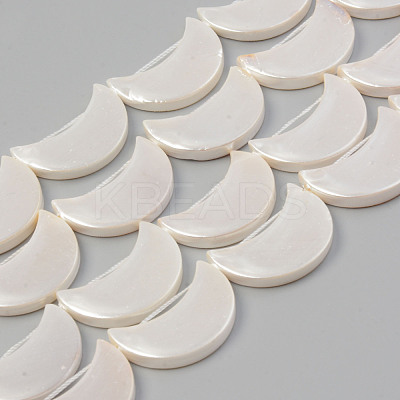 Electroplate Natural Freshwater Shell Beads Strands SHEL-T017-15B-1