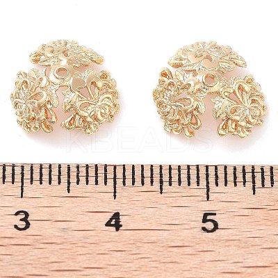 Brass Bead Caps KK-U028-04G-1