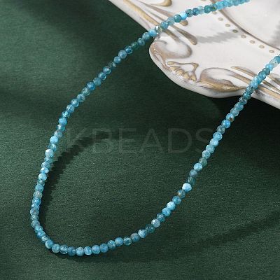 Natural Apatite Beaded Necklaces NJEW-JN02492-02-1