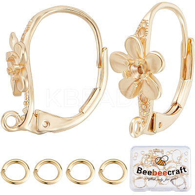 20Pcs Brass Leverback Earring Findings FIND-BBC0003-19G-1