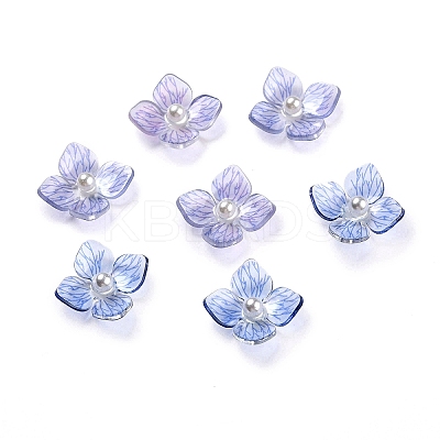 Acrylic Cabochons LS-X-SACR-E002-16-1