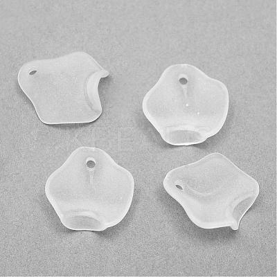 Transparent Acrylic Charms FACR-Q009-13B-1