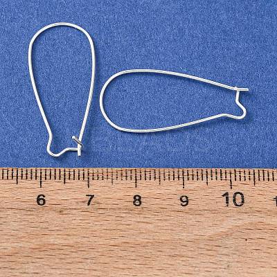 Brass Hoop Earrings Findings Kidney Ear Wires EC221-S-1