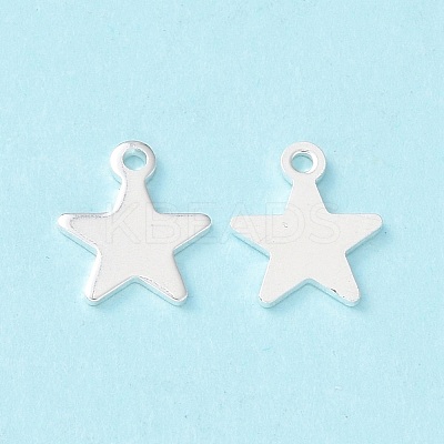 304 Stainless Steel Charms X-STAS-L234-069S-1