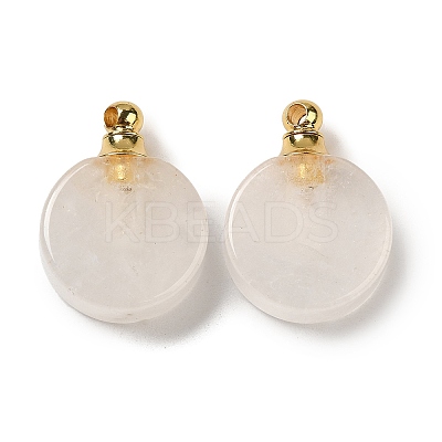 Natural Mixed Gemstone Perfume Bottle Pendants G-Z039-02G-1