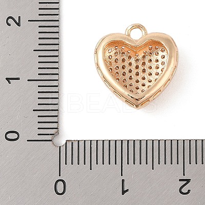 Brass Micro Pave Clear Cubic Zirconia Pendants KK-N256-19G-1