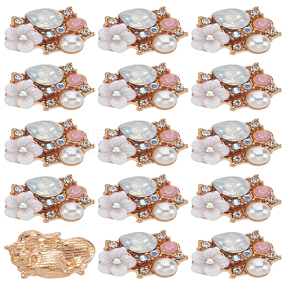 13Pcs Alloy Resin Cabochons FIND-LP0002-64-1