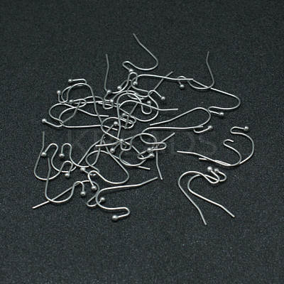 Tarnish Resistant 304 Stainless Steel Earring Hooks STAS-G140-73P-1