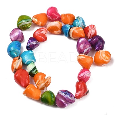 Natural Trochid Shell/Trochus Shell Beads Strands SHEL-B005-06-1