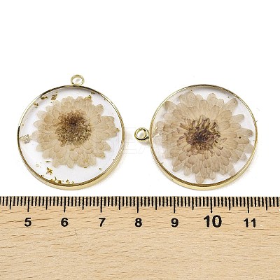 Transparent Clear Epoxy Resin Pendants RESI-XCP0002-33-1