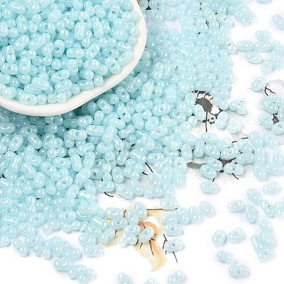 Baking Paint Glass Seed Beads SEED-L011-09A-08-1