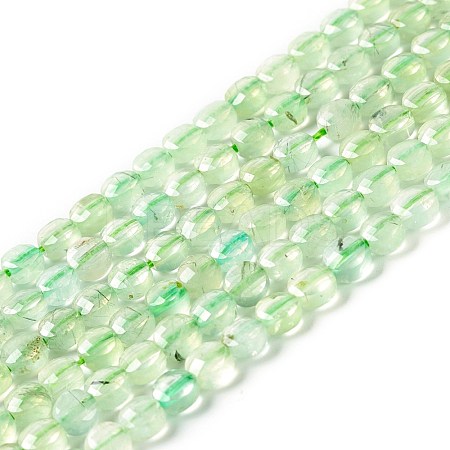 Natural Prehnite Beads Strands G-D0003-A99-1